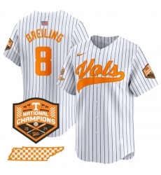 Men's Tennessee Volunteers #8 Dylan Dreiling Pinstripe 2024 Champions Vapor Limited Baseball Stitched Jersey