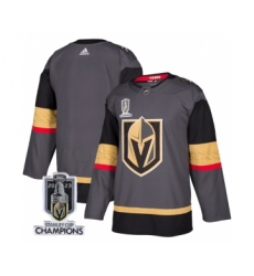 Men's Vegas Golden Knights Blank Gray 2023 Stanley Cup Champions Stitched Jersey