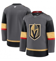 Men's Vegas Golden Knights Blank Grey 2024-25 Alternate Stitched Hockey Jersey