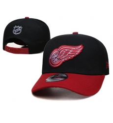 NHL Detroit Red Wings Hat-001